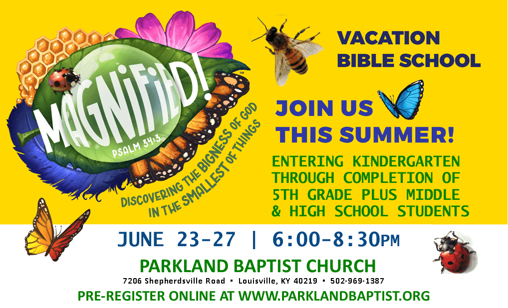 VBS 2025